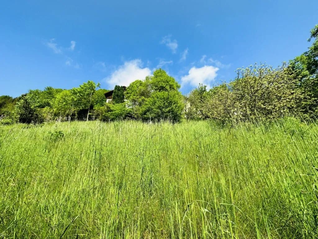 Grundstück kaufen in Bruck-Mürzzuschlag – 923 m², € 89.000 – Bild 8 von 11