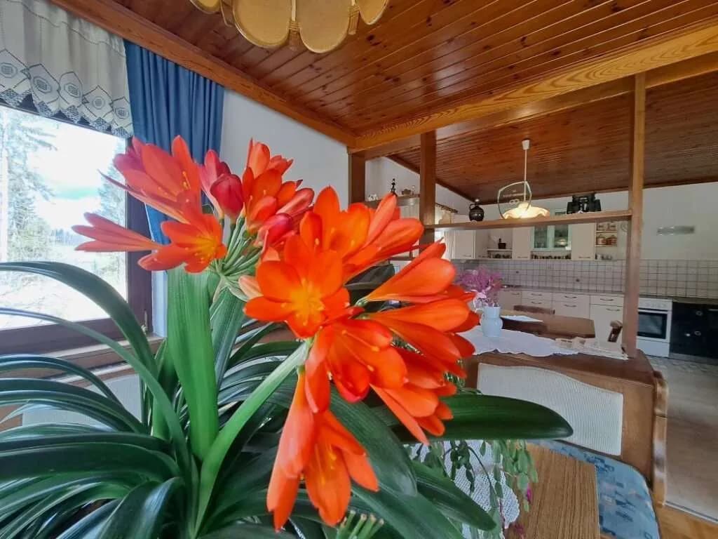 7-Zimmer-Haus kaufen in Voitsberg – 130 m², € 269.000 – Bild 15 von 30