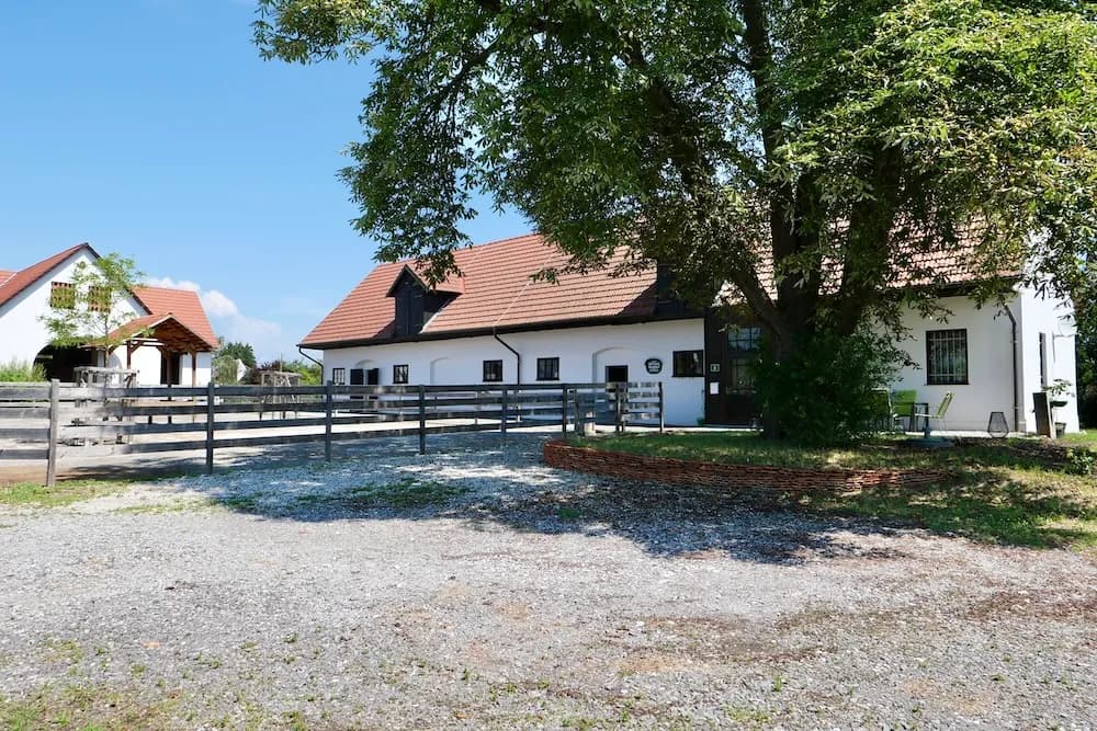 Immobilie mieten in Graz-Umgebung – € 1.800 – Bild 1 von 40