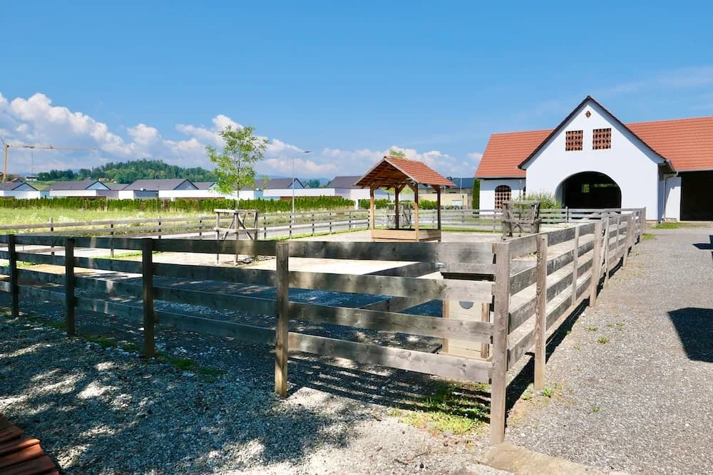 Immobilie mieten in Graz-Umgebung – € 1.800 – Bild 7 von 40