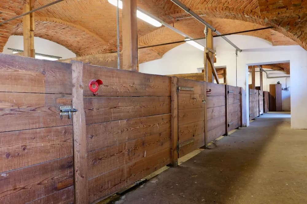 Immobilie mieten in Graz-Umgebung – € 1.800 – Bild 13 von 40
