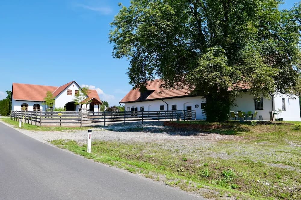Immobilie mieten in Graz-Umgebung – € 1.800 – Bild 38 von 40