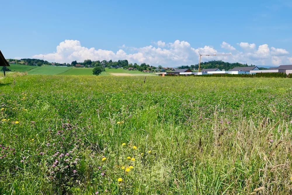 Immobilie mieten in Graz-Umgebung – € 1.800 – Bild 39 von 40