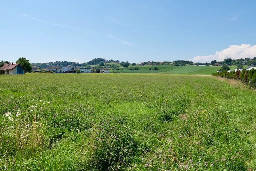 Immobilie mieten in Graz-Umgebung – € 1.800 – Bild 40 von 40