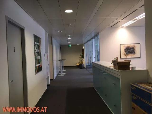 11-Zimmer-Gewerbeimmobilie mieten in Wien – 446 m², € 9.723 – Bild 6 von 9
