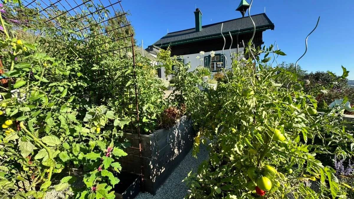 5-Zimmer-Haus kaufen in Wiener Neustadt Land – 141 m², € 498.000 – Bild 40 von 49