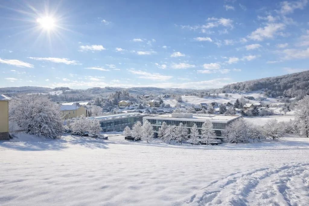 Grundstück kaufen in Südoststeiermark – 9 741 m², € 749.000