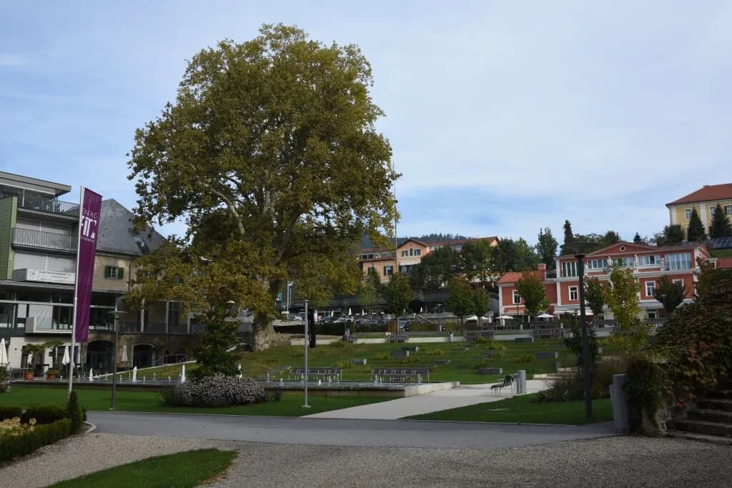 Grundstück kaufen in Südoststeiermark – 9 741 m², € 749.000 – Bild 2 von 4