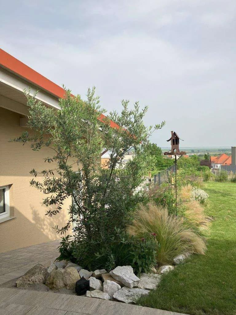 Haus kaufen in Eisenstadt - Umgebung – 186 m², € 790.000 – Bild 7 von 29