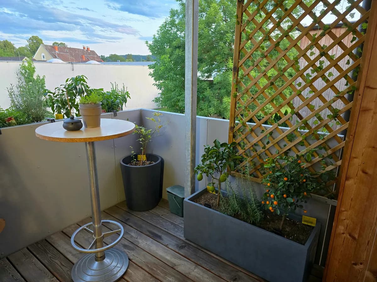 Wohnung mieten in Weiz – 46 m², € 714