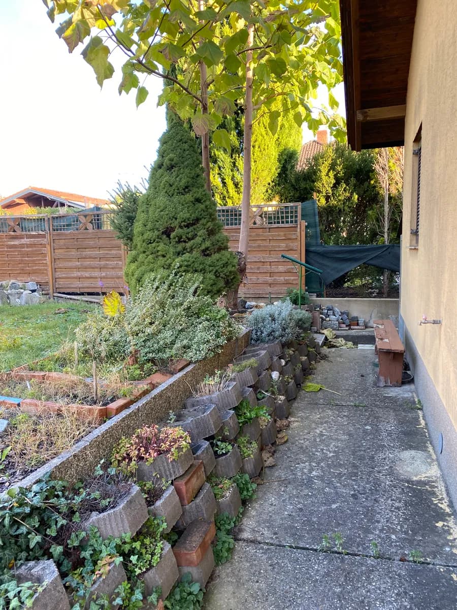 Immobilie mieten in Korneuburg – 291 m², € 550 – Bild 7 von 21