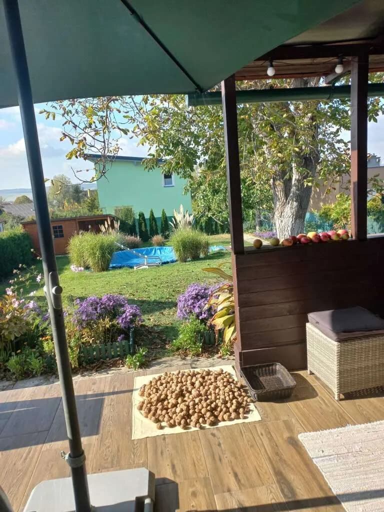 Immobilie kaufen in Hollabrunn – 60 m², € 200.000 – Bild 8 von 29