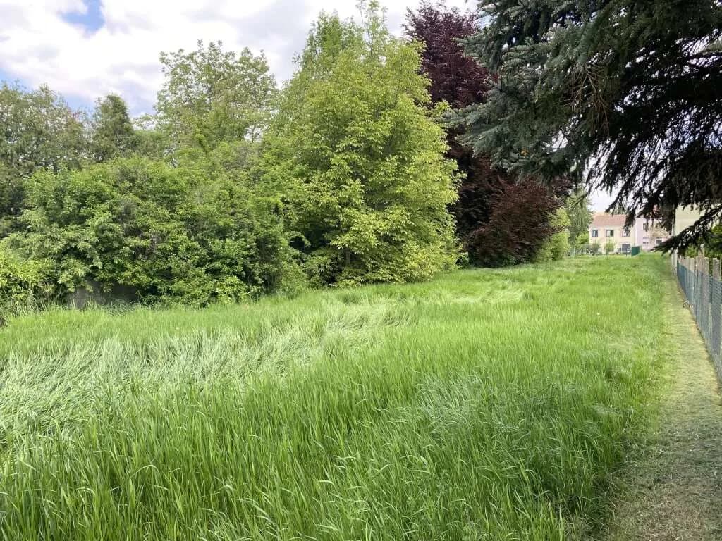 Grundstück kaufen in Hollabrunn – 750 m², € 127.500 – Bild 2 von 5
