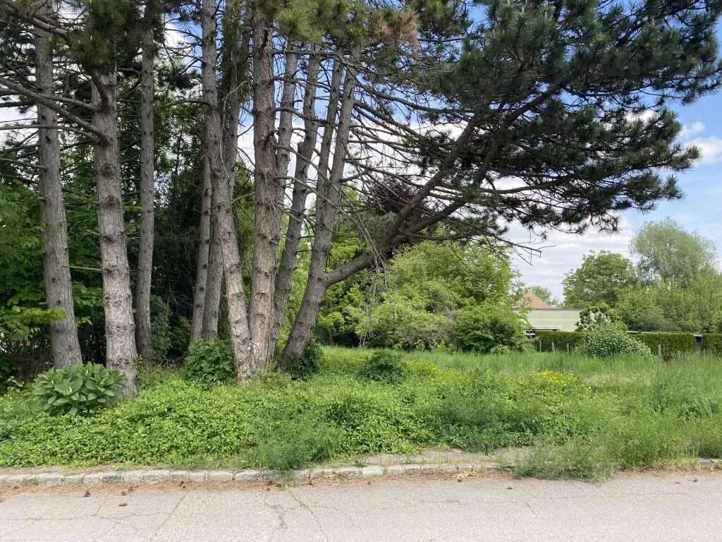 Grundstück kaufen in Hollabrunn – 750 m², € 127.500 – Bild 3 von 5