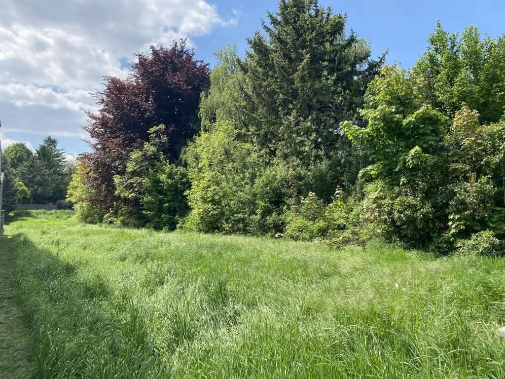 Grundstück kaufen in Hollabrunn – 750 m², € 127.500 – Bild 4 von 5