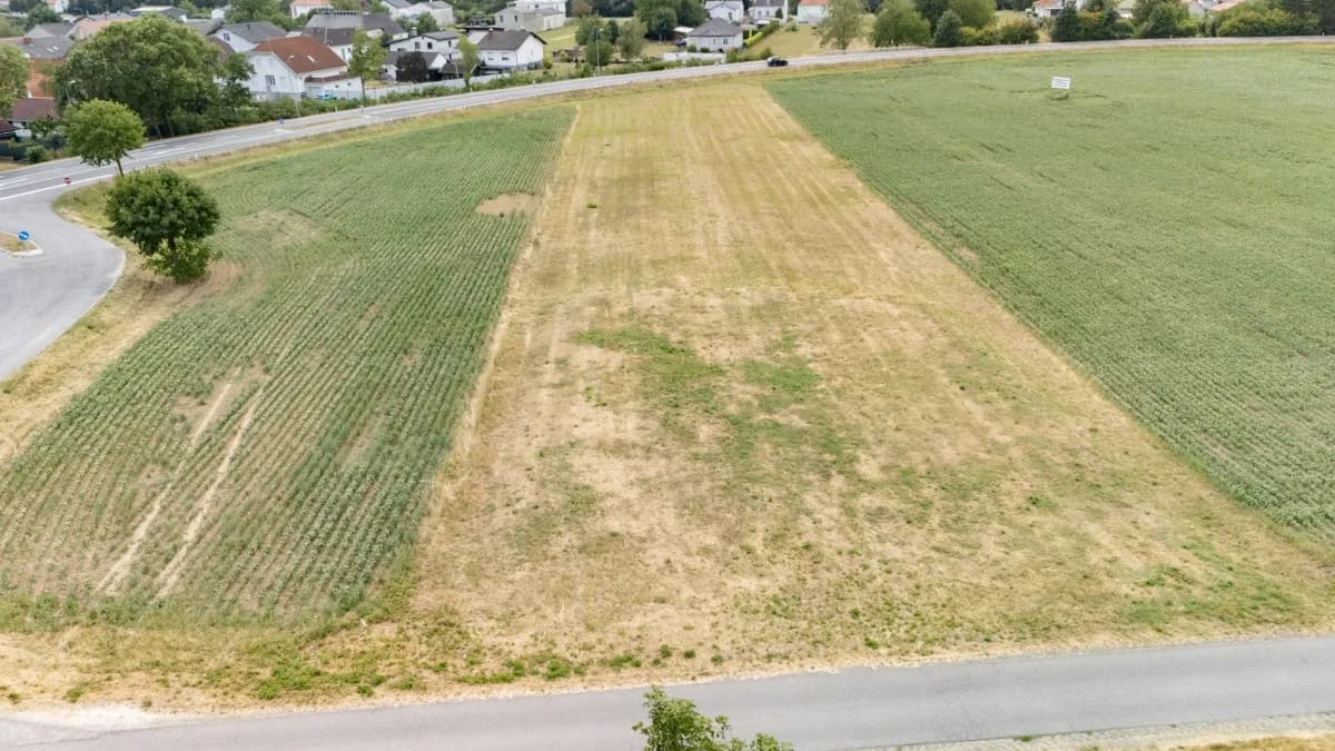 Immobilie kaufen in Oberpullendorf – 2 383 m², € 35.000 – Bild 3 von 9