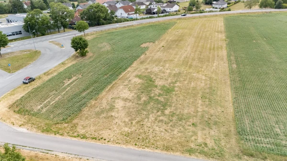 Immobilie kaufen in Oberpullendorf – 2 383 m², € 35.000 – Bild 4 von 9
