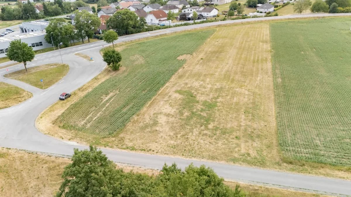 Immobilie kaufen in Oberpullendorf – 2 383 m², € 35.000 – Bild 5 von 9