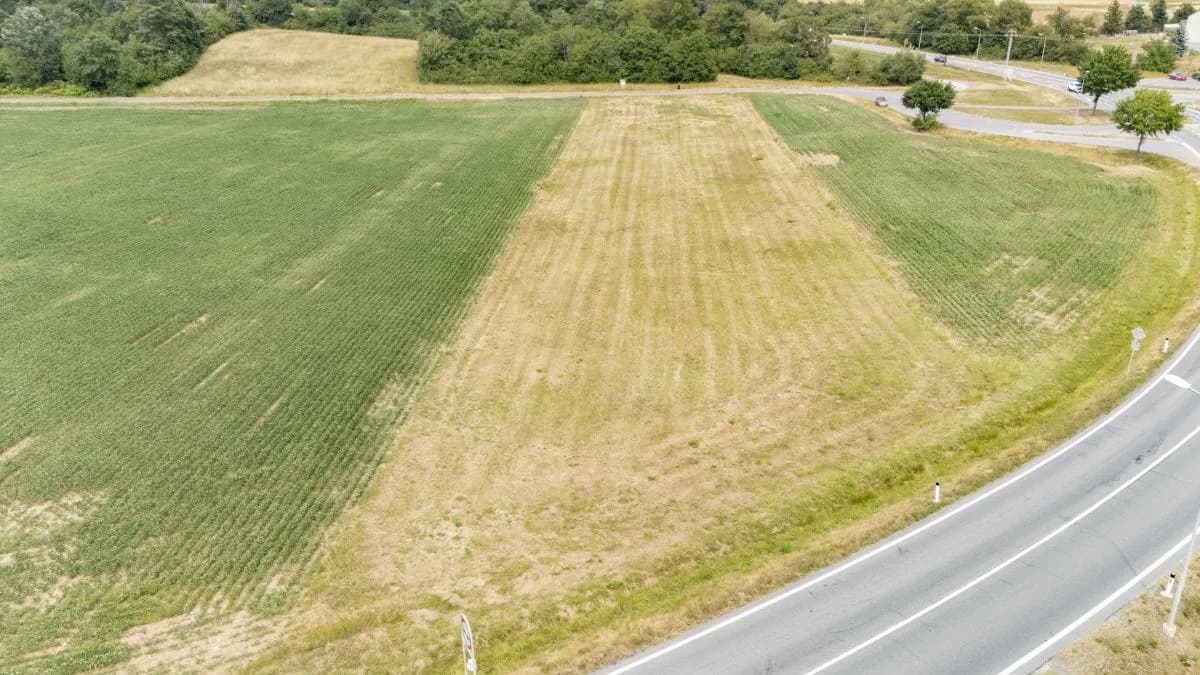 Immobilie kaufen in Oberpullendorf – 2 383 m², € 35.000 – Bild 6 von 9