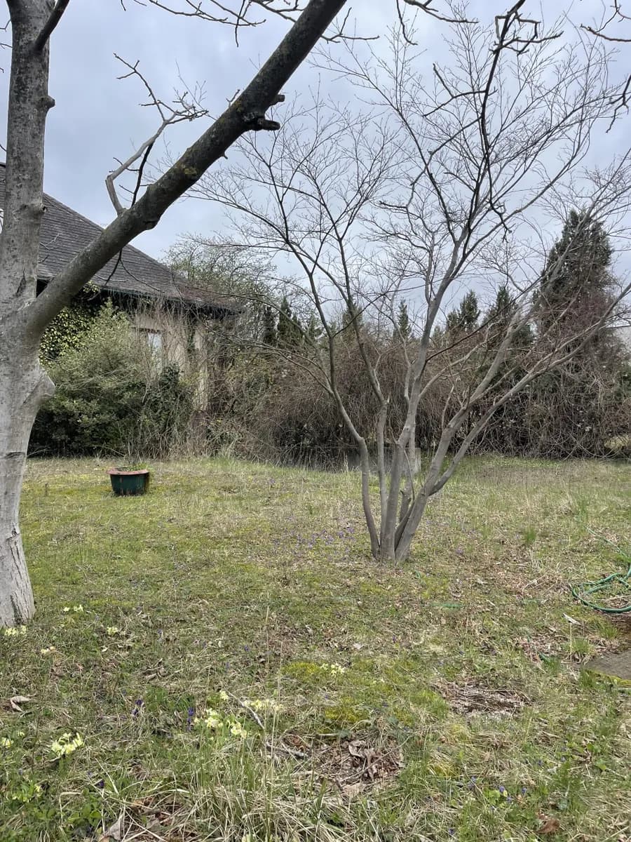 Grundstück kaufen in Mödling – 1 257 m² – Bild 18 von 31