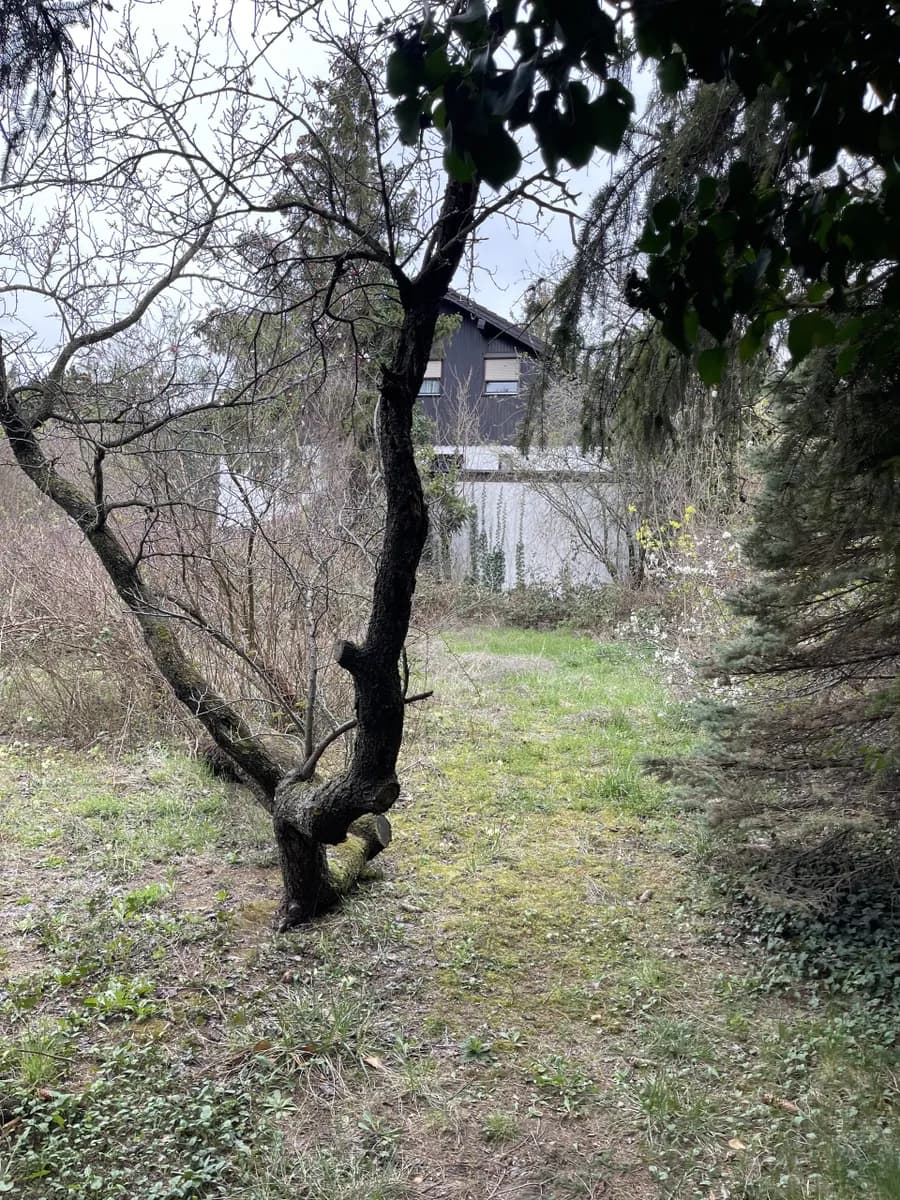Grundstück kaufen in Mödling – 1 257 m² – Bild 24 von 31