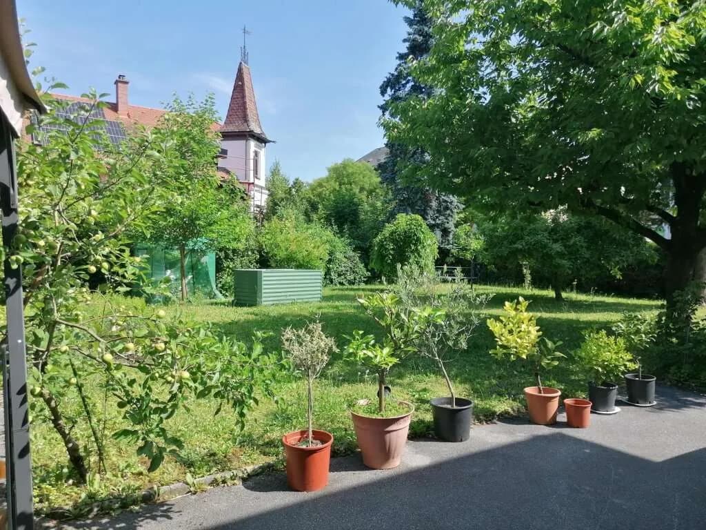 Immobilie kaufen in Hartberg-Fürstenfeld – 250 m², € 580.000 – Bild 2 von 32