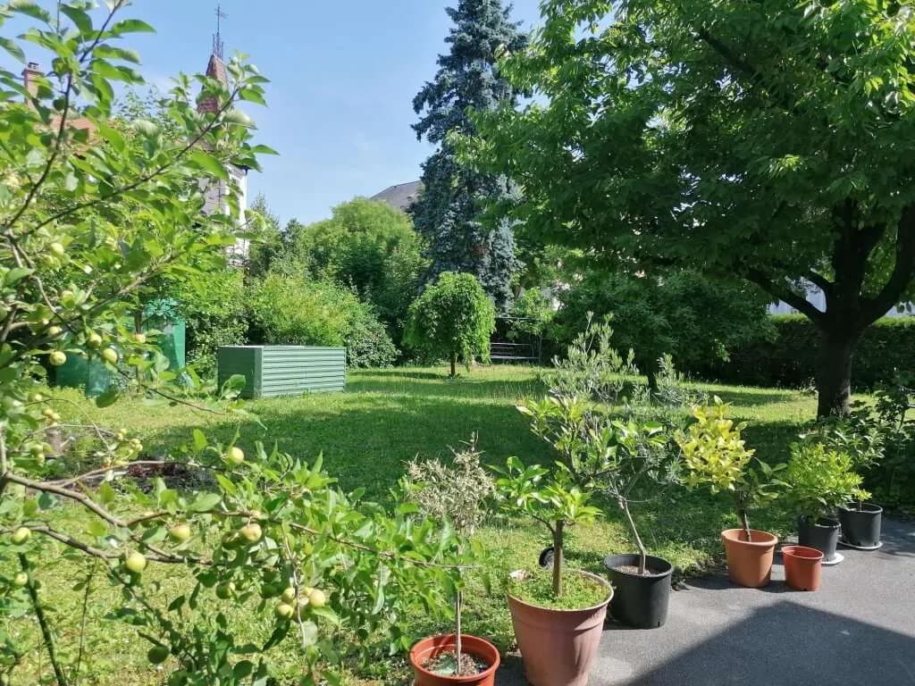 Immobilie kaufen in Hartberg-Fürstenfeld – 250 m², € 580.000 – Bild 28 von 32