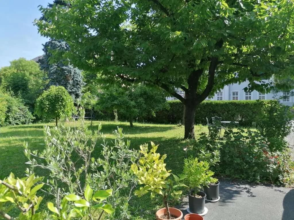 Immobilie kaufen in Hartberg-Fürstenfeld – 250 m², € 580.000 – Bild 32 von 32