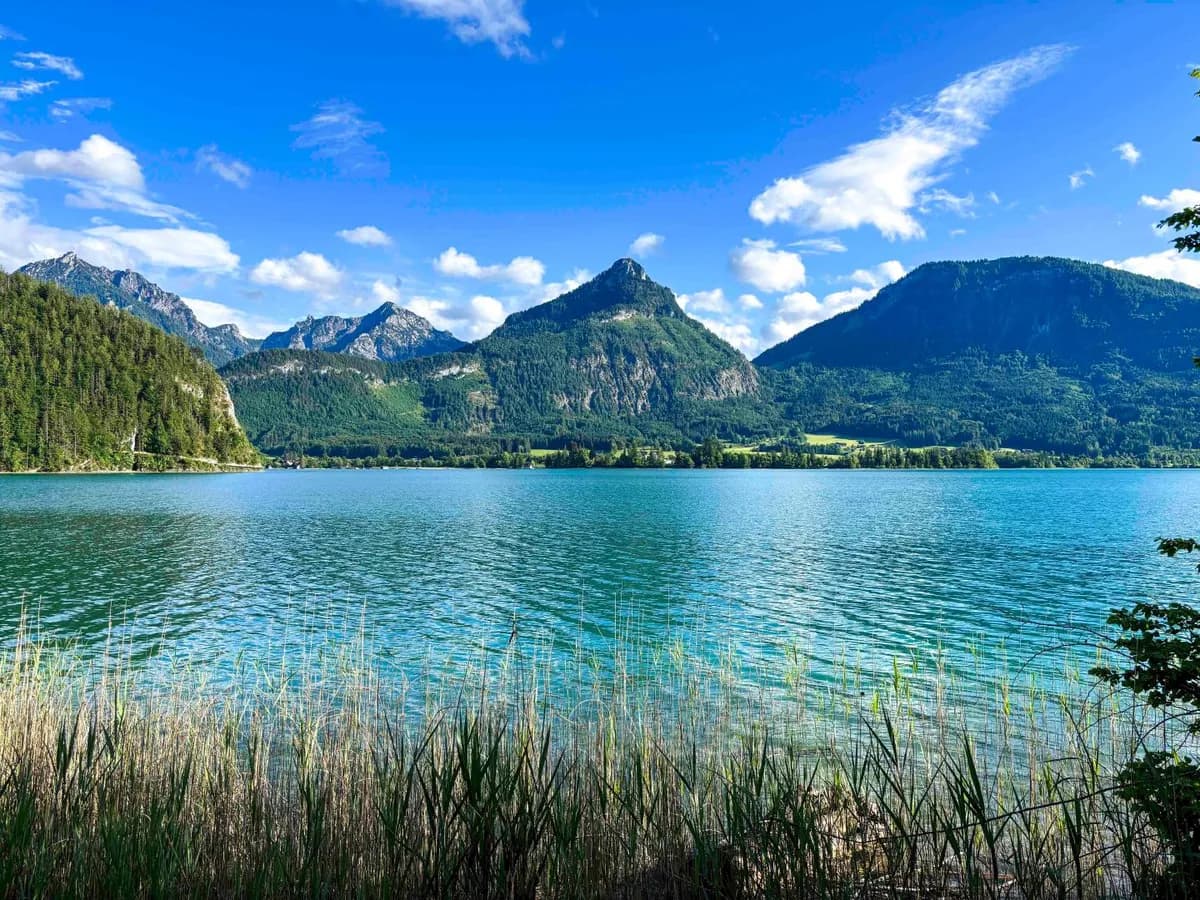 14-Zimmer-Immobilie kaufen in Gmunden – 257 m², € 1.950.000 – Bild 2 von 16