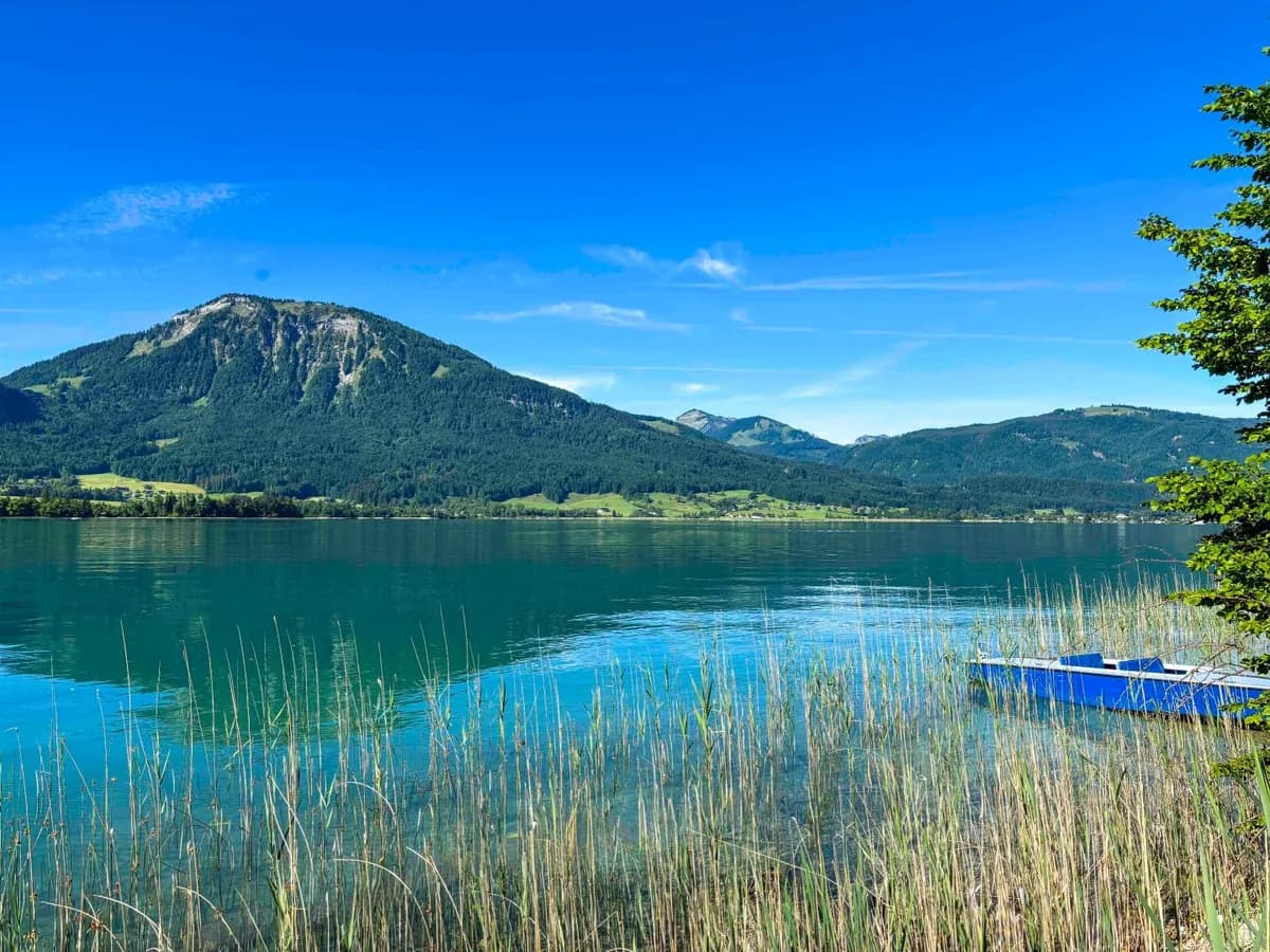 14-Zimmer-Immobilie kaufen in Gmunden – 257 m², € 1.950.000 – Bild 6 von 16