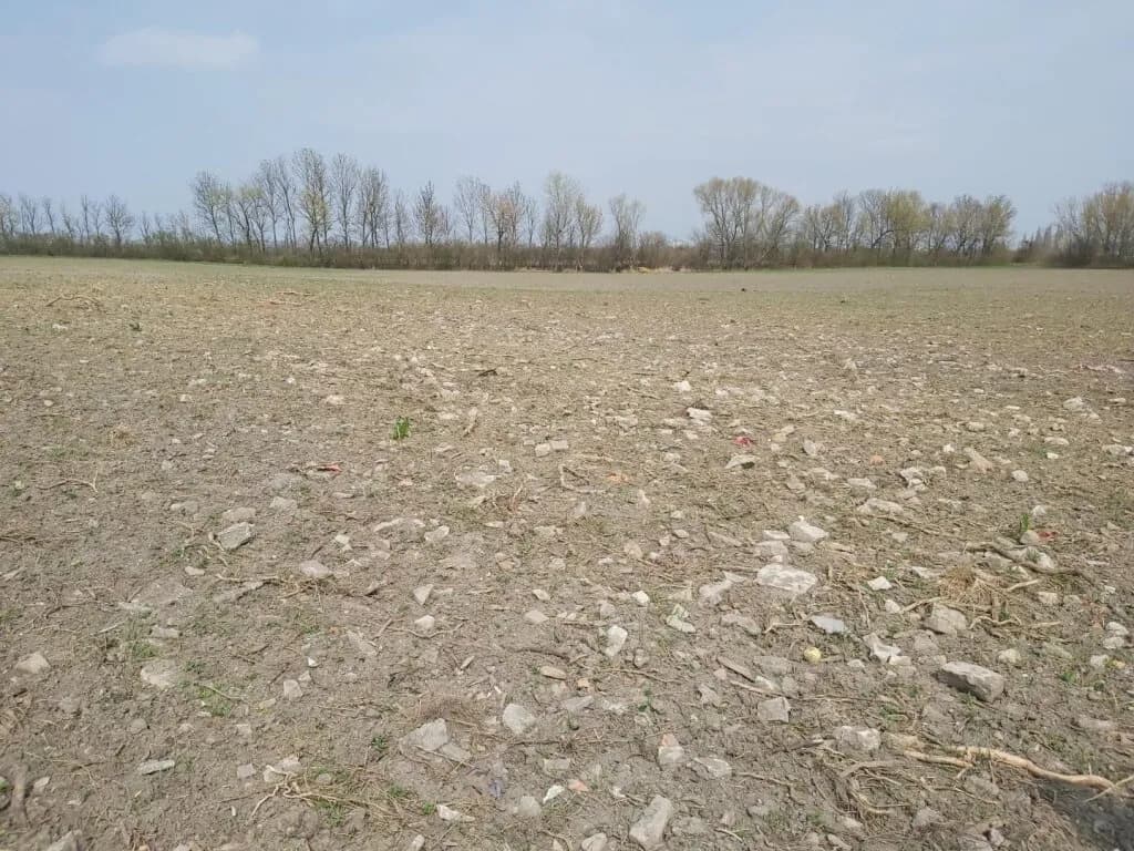 Immobilie kaufen in Bruck an der Leitha – 21 000 m², € 5.733.000 – Bild 2 von 5