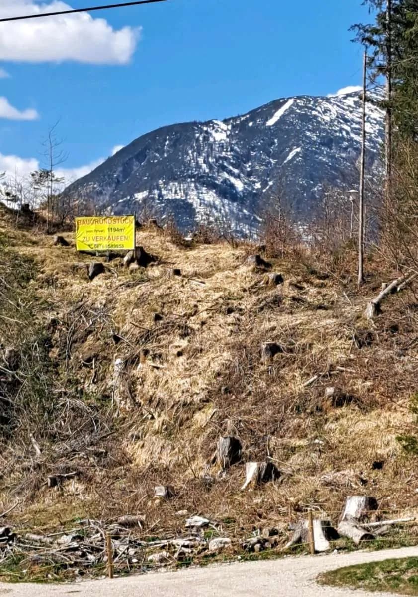 Grundstück kaufen in Schwaz – 1 194 m², € 1.234 – Bild 3 von 4