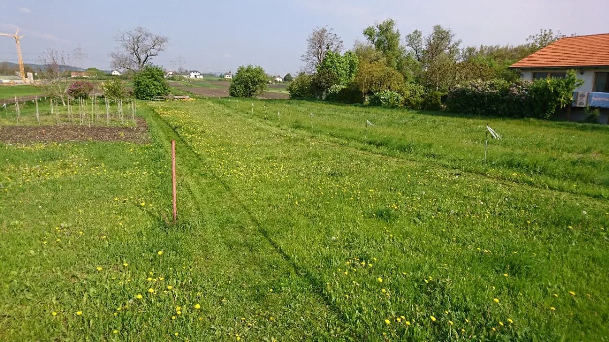 Grundstück kaufen in Neusiedl am See – 996 m², € 360.000 – Bild 3 von 3
