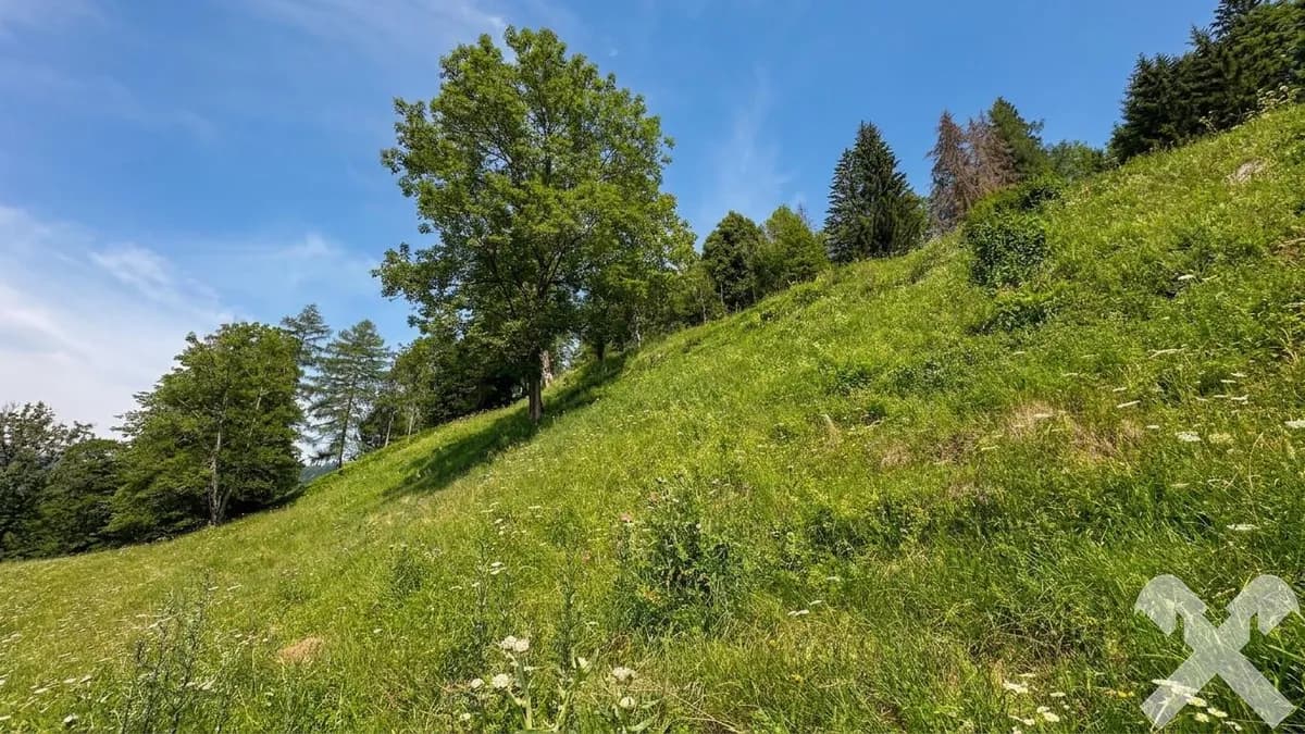 Grundstück kaufen in Murtal – € 45.000 – Bild 6 von 13
