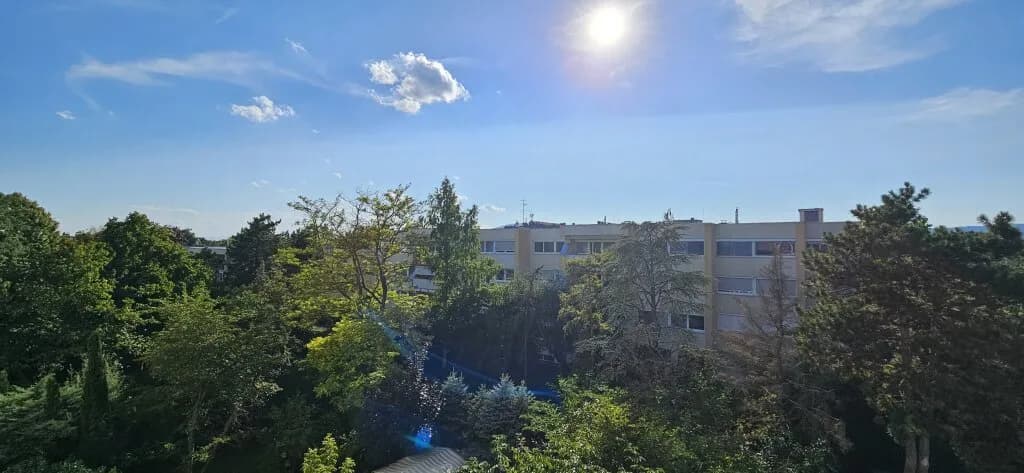 1-Zimmer-Wohnung kaufen in Mödling – 53,5 m², € 179.000 – Bild 22 von 23