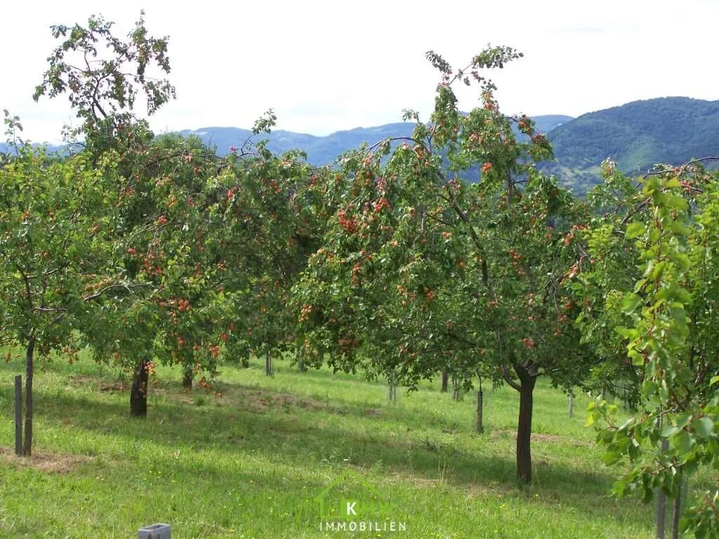 Grundstück kaufen in Krems Land – 34 343 m² – Bild 3 von 11