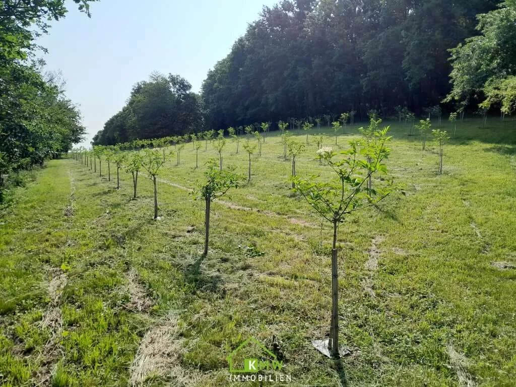 Grundstück kaufen in Krems Land – 34 343 m² – Bild 4 von 11