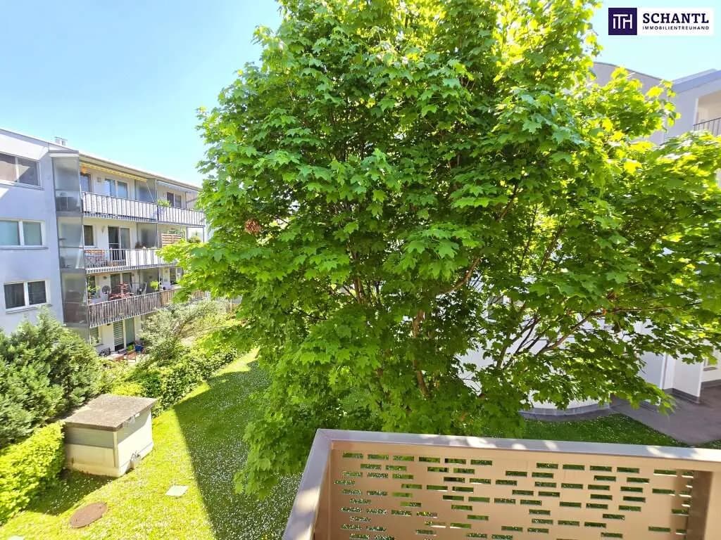 2-Zimmer-Wohnung kaufen in Wien – 49,58 m², € 287.156 – Bild 12 von 41
