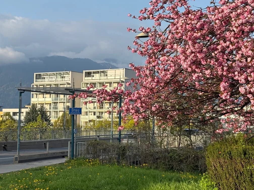 5-Zimmer-Wohnung kaufen in Villach – 182 m², € 1.150.000 – Bild 8 von 77