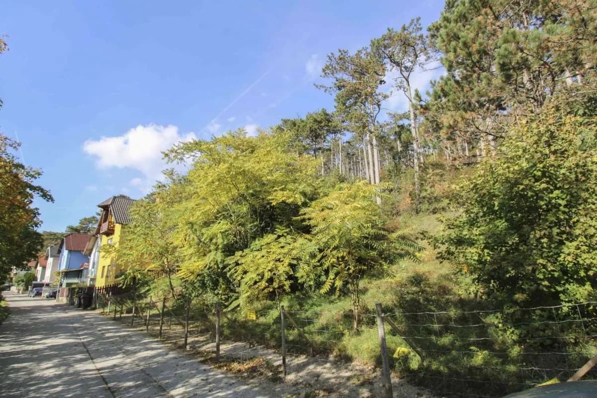 Grundstück kaufen in Baden – 639 m², € 149.000