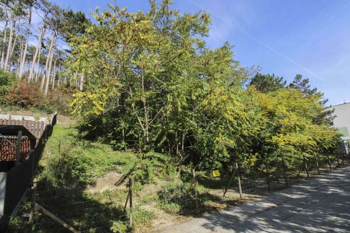 Grundstück kaufen in Baden – 639 m², € 149.000 – Bild 2 von 3