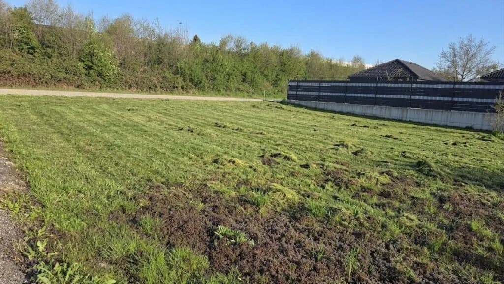 Grundstück kaufen in Ried im Innkreis – 920 m², € 220.000 – Bild 2 von 4