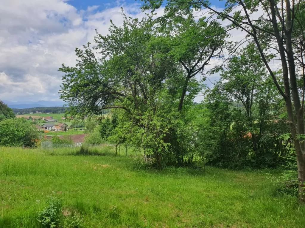 Grundstück kaufen in Leibnitz – 25 000 m², € 310.000 – Bild 2 von 8
