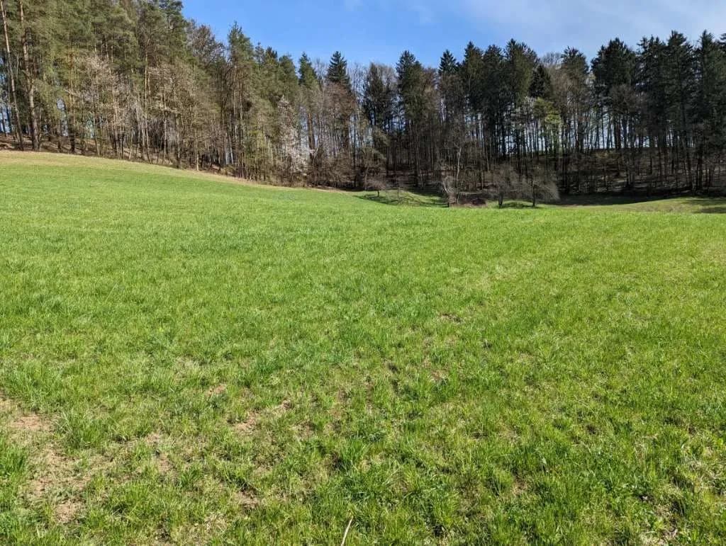 Grundstück kaufen in Leibnitz – 25 000 m², € 310.000 – Bild 4 von 8