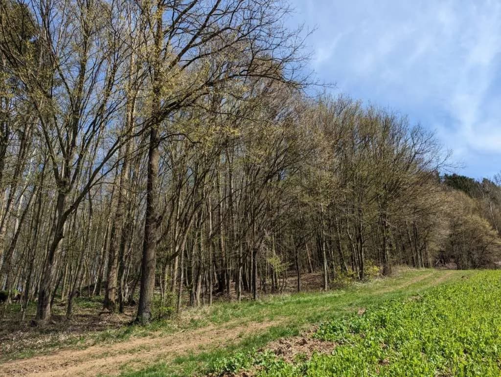 Grundstück kaufen in Leibnitz – 25 000 m², € 310.000 – Bild 5 von 8