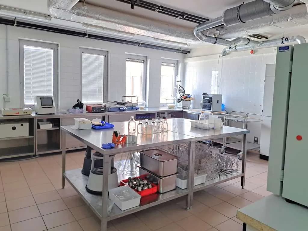 Gewerbeimmobilie mieten in Wien – 567 m², € 13 – Bild 6 von 8