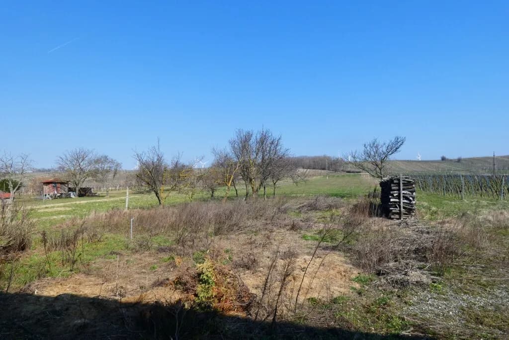 6-Zimmer-Haus kaufen in Neusiedl am See – 160 m², € 850.000 – Bild 7 von 12
