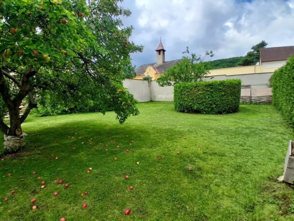 3-Zimmer-Wohnung mieten in Hollabrunn – 113,67 m², € 925 – Bild 11 von 13