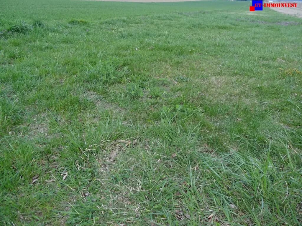 Grundstück kaufen in Mattersburg – 4 400 m², € 660.000