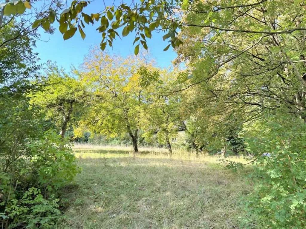 Grundstück kaufen in Lilienfeld – 2 501 m², € 575.000 – Bild 3 von 5